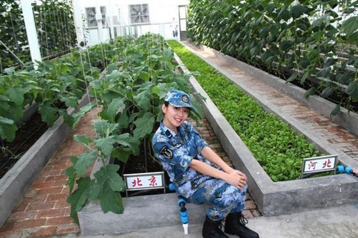 Trung Quoc ngang nhien tung anh tròng rau tren da Chu Thap